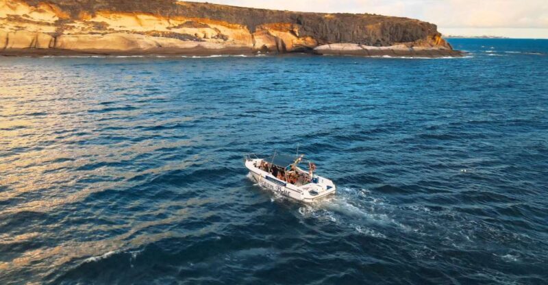 Private Charter Private Charter to see the whales - 2 Hours - The Value of an All-Inclusive, Private Experience