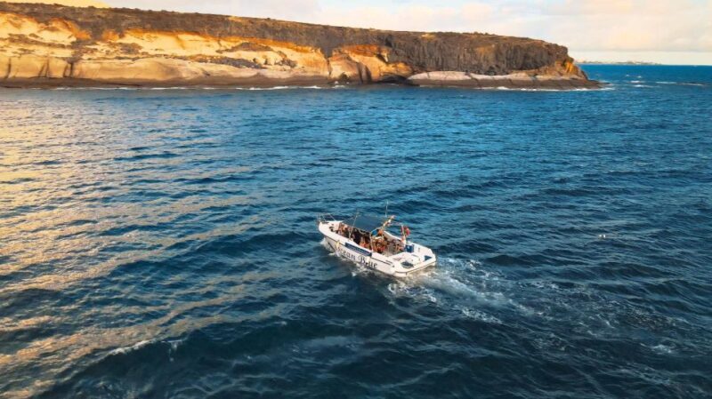 Private Charter Private Charter to see the whales - 2 Hours - In-Depth Look at the Experience