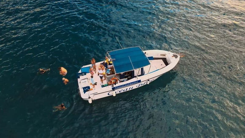 Private Charter Private Charter to see the whales - 3 Hours - An In-Depth Look at the Private Whale Watching Experience