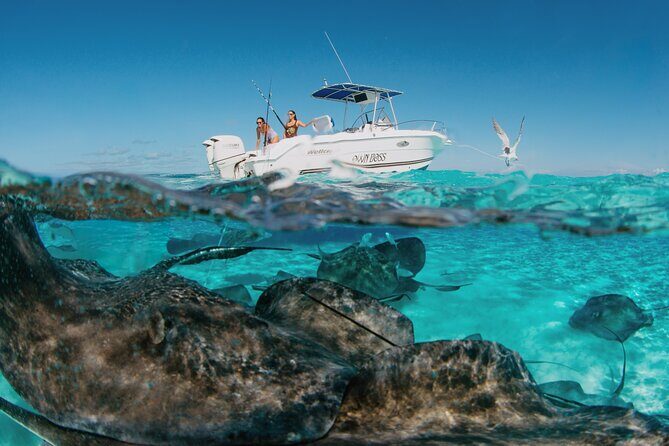 Private Charter Reef fishing, Stingray City, Snorkel, Mangroves - Discover the Authentic Charm of Grand Cayman with a Private Boat Tour