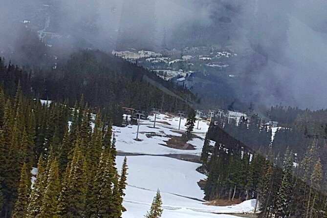 Private Charter Tour to Explore Vancouver and Surrounding Area - An In-Depth Look at the Vancouver Private Tour