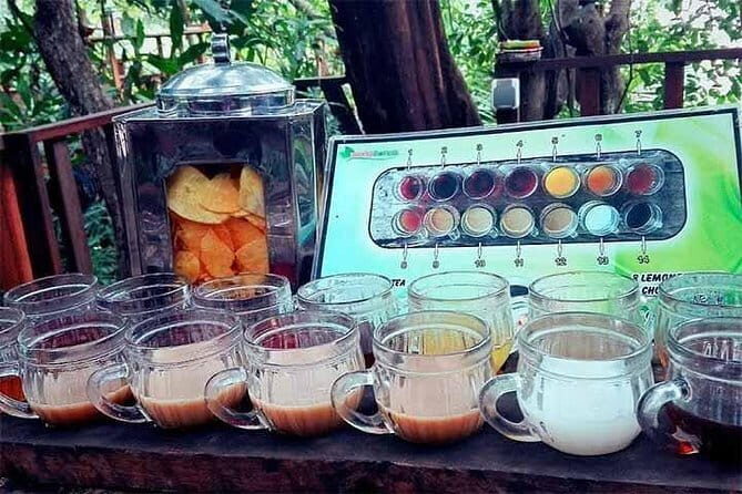 Private Chartered Car to Jatiluwih and Tanah Lot - A Deep Dive into the Bali Private Car Tour to Jatiluwih and Tanah Lot