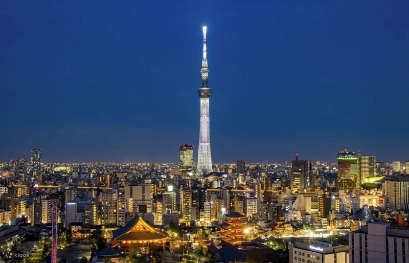 Private Chartered Car: Tokyo City to Tokyo Disneyland/Mount Fuji/Karuizawa/Nagano/Niigata and other areas - A private ride, not a guided day tour