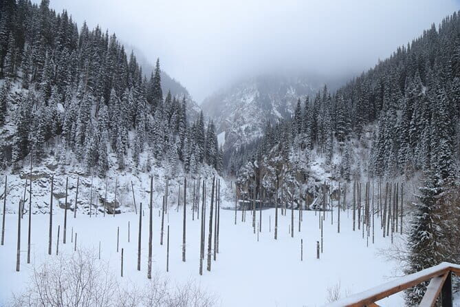 Private Charyn Canyon, Kolsai Lake with Optional Kaindy Lake tour - The Sum Up