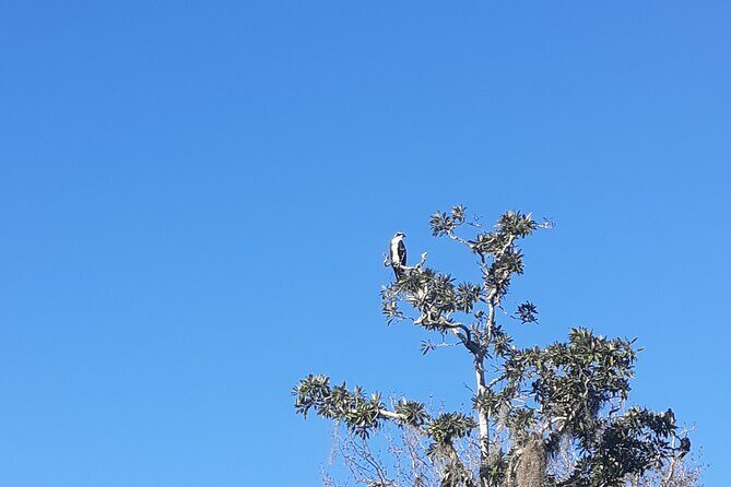 Private Chassahowitzka River Exploration kayak tour - FAQs