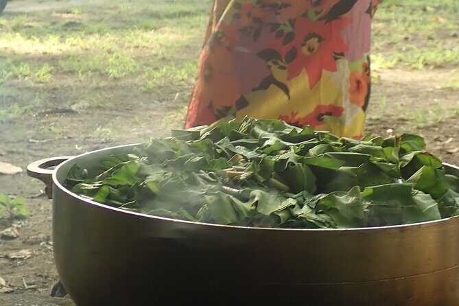 Private Chef Experience with Lunch Cooked Over Fire on the Beach - Additional Resources