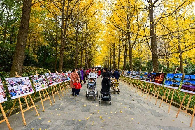 Private Chengdu Impression Day Tour including Panda Base - A Close Look at the Chengdu Private Day Tour