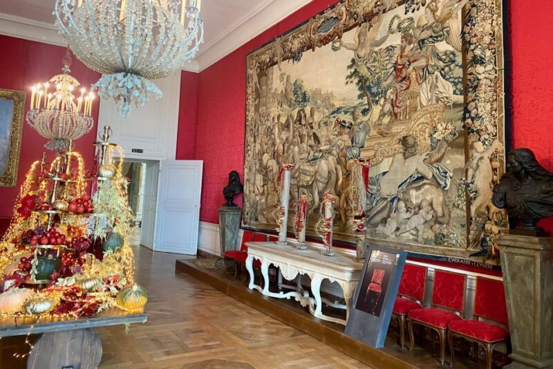 Private Chenonceau Chambord Amboise Loire Castles from Paris - Practicalities: What to Expect and What to Consider