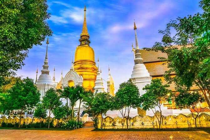 Private Chiang Mai City Tour including Wat Doi Suthep, Wat Suan Dok (SHA Plus) - Who Will Love This Tour?