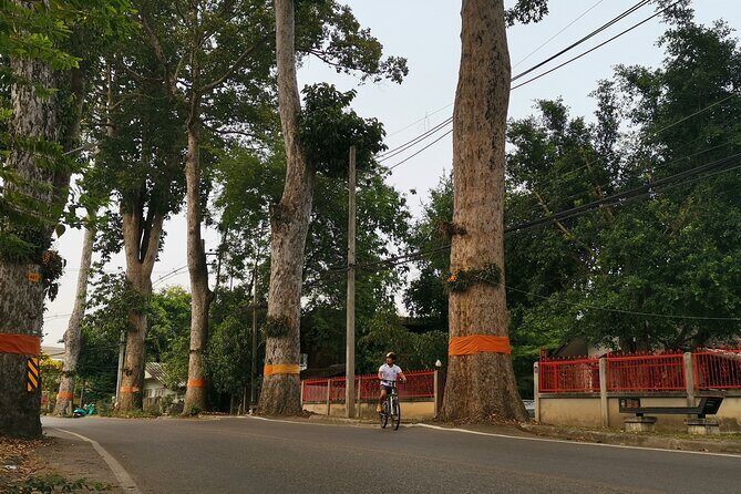 Private Chiang Mai Half-Day Bike Tour - A Detailed Look at the Chiang Mai Bike Tour