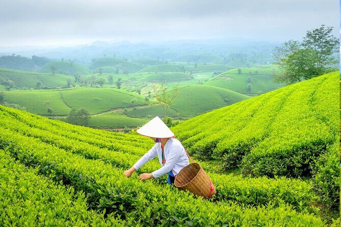 Private Chiang Rai Day Trip with Golden Triangle from Chiang Mai - Who Should Consider This Tour?