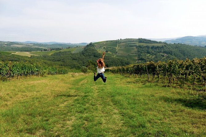 Private Chianti and SuperTuscan Tour 2 wineries with Light Lunch from Livorno - Why This Tour Stands Out