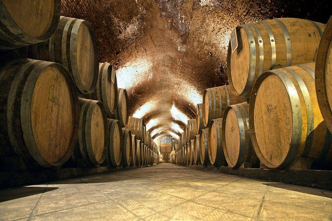 Private Chianti and SuperTuscan Tour 2 wineries with Light Lunch from Livorno - Practical Details and Tips