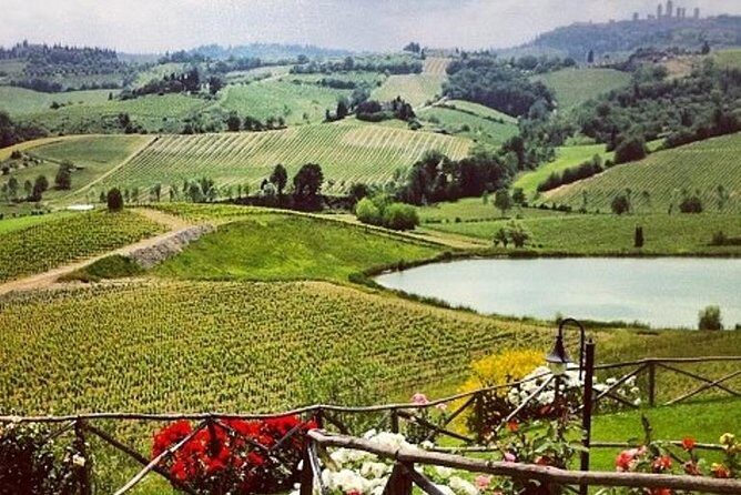 Private Chianti Classico Tour with wine and food tasting in a Historic Estate - Experience the Heart of Tuscany on a Private Chianti Classico Tour