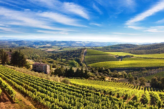 Private Chianti Classico Tour with wine and food tasting in a Historic Estate - Key Points