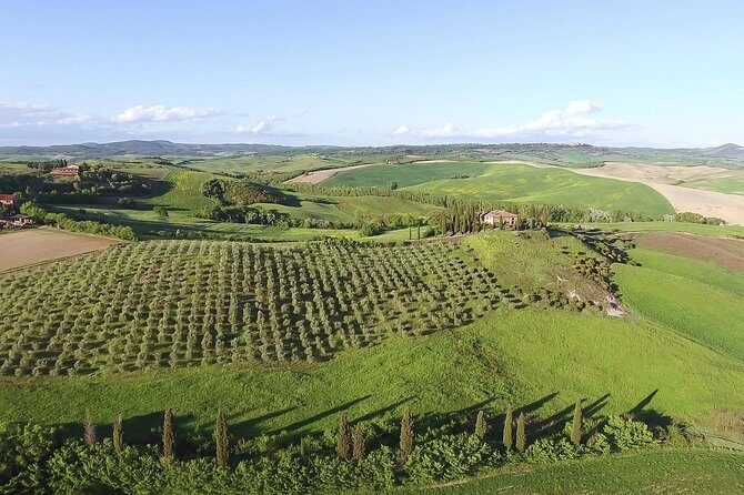 Private Chianti Classico Tour with wine and food tasting in a Historic Estate - Is This Tour Right for You?