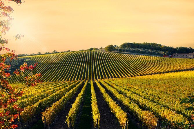 Private Chianti Classico Tour with wine and food tasting in a Historic Estate - Final Thoughts