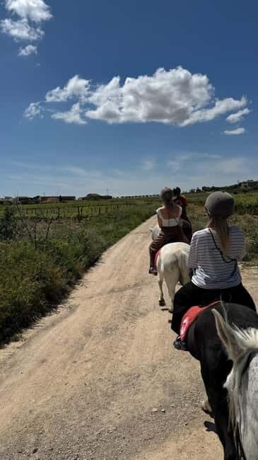 Private Chianti Horseback Riding Wine Tasting + Lunch - Why This Tour Offers Outstanding Value