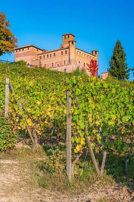 Private Chianti Horseback Riding Wine Tasting + Lunch - Who Should Consider This Experience?