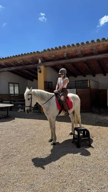 Private Chianti Horseback Riding Wine Tasting + Lunch - Final Thoughts