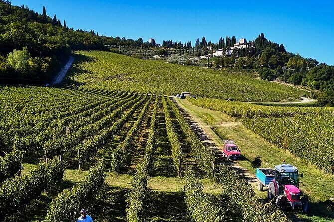 Private Chianti Tour and Wine Tasting - Practical Details and Considerations