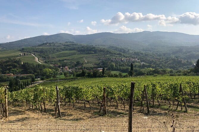 Private Chianti Wine Tasting from Florence, Half Day Experience - Exploring the Itinerary in Detail