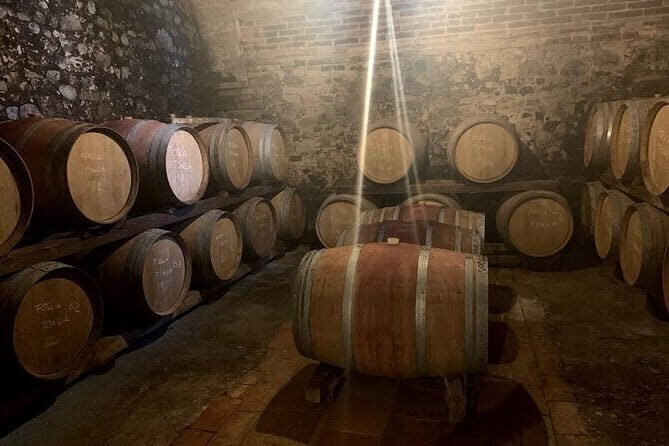 Private Chianti Wine Tour - Exploring the Heart of Tuscany: A Detailed Review of the Private Chianti Wine Tour