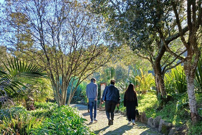 Private Chilled Daytrip to Sintra - Final Thoughts