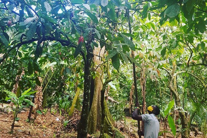 Private Chocolate Making Class - More Than Just Making Chocolate: Why This Tour Is Worth It