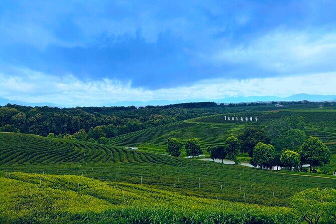 Private Choui Fong and Golden Triangle Explorer from Chiang Rai - The Sum Up