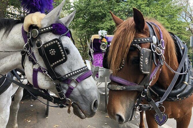 Private Christmas Lights Horse Carriage Tour In New York City - A Magical Horse-Drawn Carriage Ride Through New York Citys Christmas Lights