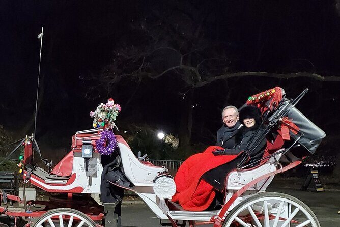 Private Christmas Lights Horse Carriage Tour In New York City - Key Points