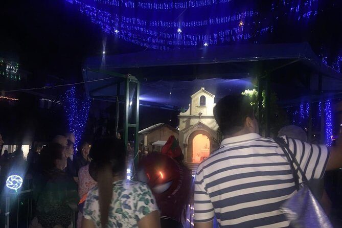 Private Christmas Lights Tour in Medellin - An In-Depth Look at the Medellín Christmas Lights Tour