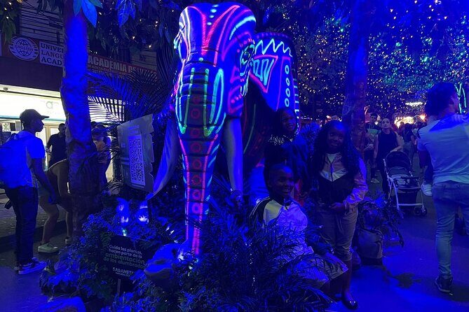 Private Christmas Lights Tour in Medellín! - Only Holiday Season! - Practical Details and Tips