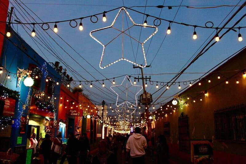 Private Christmas Walking Tour in Cabo San Lucas - Practical Considerations