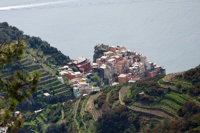 Private Cinque Terre Trek & Tour - Wrapping It Up