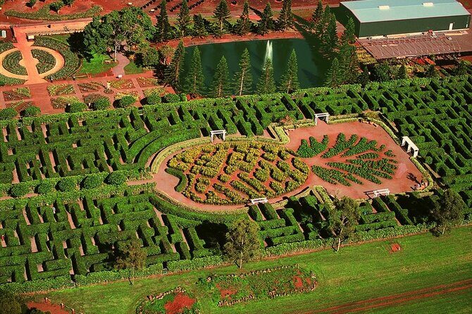 Private Circle Island Tour Across Oahu Paradise - In The Sum Up