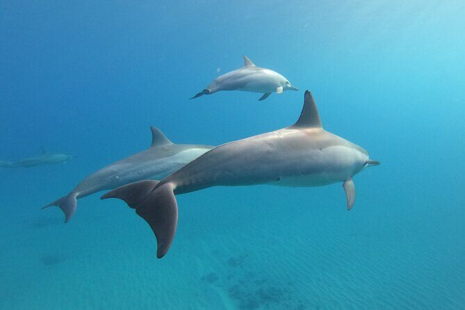 Private Circle Island Tour we build your dream Itinerary - Frequently Asked Questions