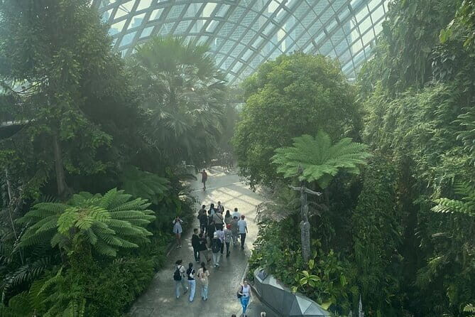 Private City Car Tour Singapore (4 Hours or 8 Hours) - Exploring Singapore with a Personal Touch