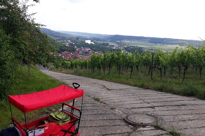 Private city rally in Würzburg including wine tasting - Key Points