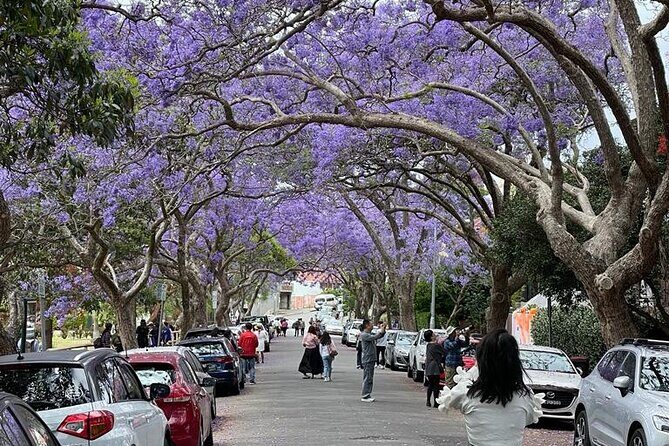 Private City Tour: Best of Sydney - Practical Details and Value