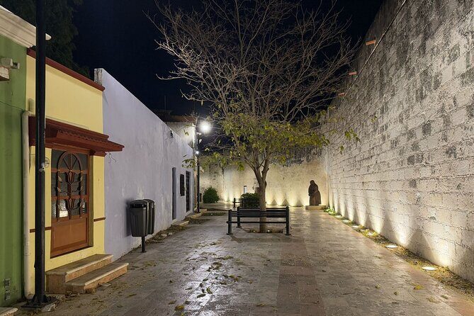 Private City Tour Campeche - Who Will Love This Tour?