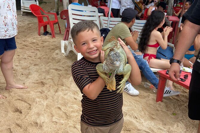 Private City Tour & Rain Forest - Who Will Love This Tour?