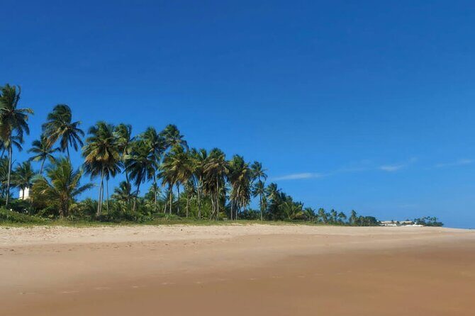 Private City Tour with beach stop for swimming. - Key Points