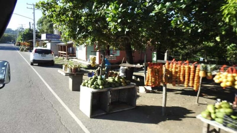 Private: City Tour with Lunch, Rum, and Chocolate - Practical Details and Tips