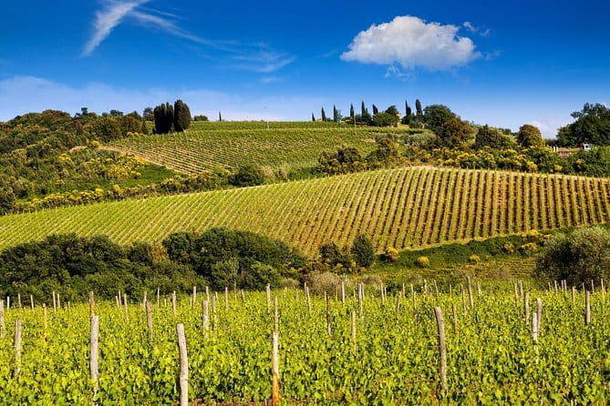 Private Classic Wine Tour in Chianti from Florence - A Personal Look at the Private Classic Wine Tour in Chianti from Florence