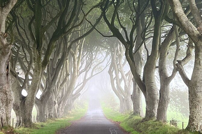 Private Coast Tour in Belfast - Frequently Asked Questions