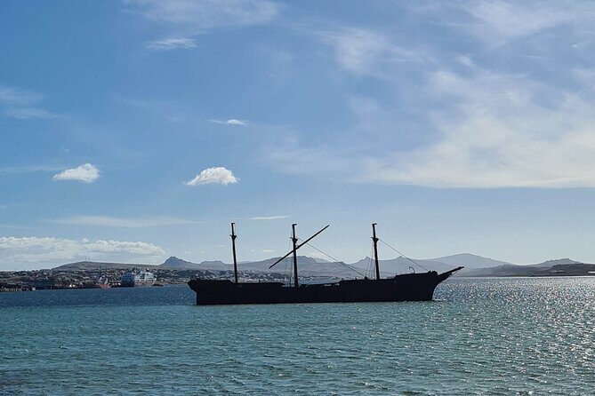 Private Coastal Gems Tour: Penguins, Scenery & Stanley - Key Points