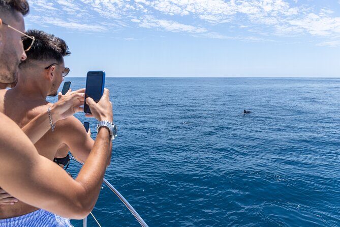Private Coastline and Dolphins Yacht Cruise from Albufeira - An In-Depth Look at the Private Coastline and Dolphins Yacht Cruise