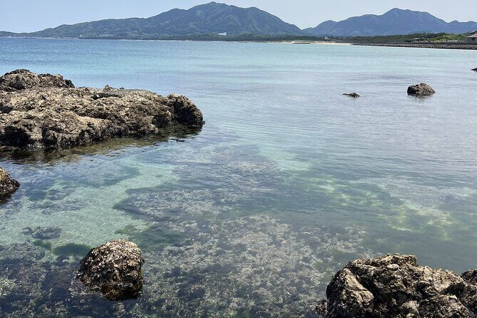 Private Coastline Ebike Tour in Fukuoka - Discover Fukuoka’s Coastline on a Private E-Bike Tour